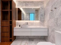 Zenith (D10), Apartment #552684811